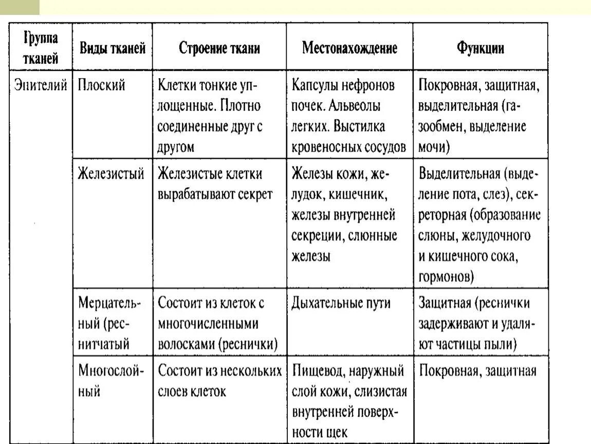 Характеристика тканей человека таблица. Эпителиальная ткань строение и функции таблица. Таблица Тип ткани особенности строения функции. Строение ткани эпителиальной ткани. Особенностистроения эпитолиальной ткани.