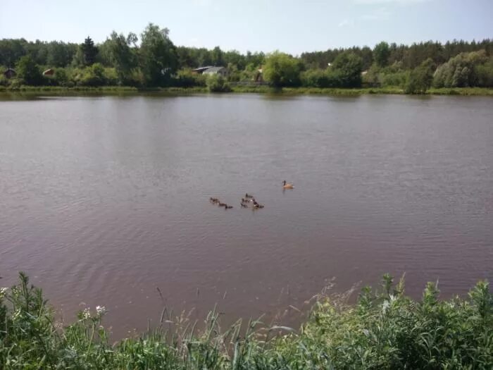 Водоемы домодедово