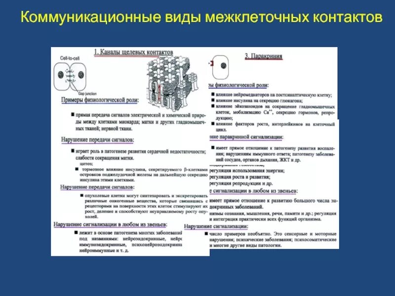 Типы клеточных контактов схема. Типы межклеточных соединений. Контакты между клетками функции. Классификация клеточных контактов таблица. Межклеточные соединения таблица.