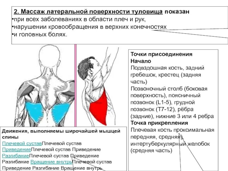 Боль в лопатке при движении