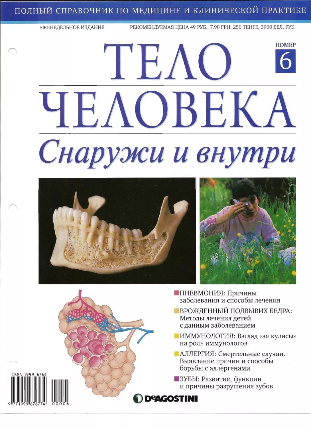 Журнал анатомии и гистопатологии. Тело человека снаружи и внутри журнал. тело человека снаружи.