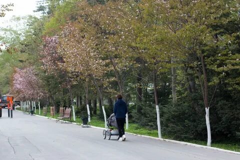 Сахалинске аллеи