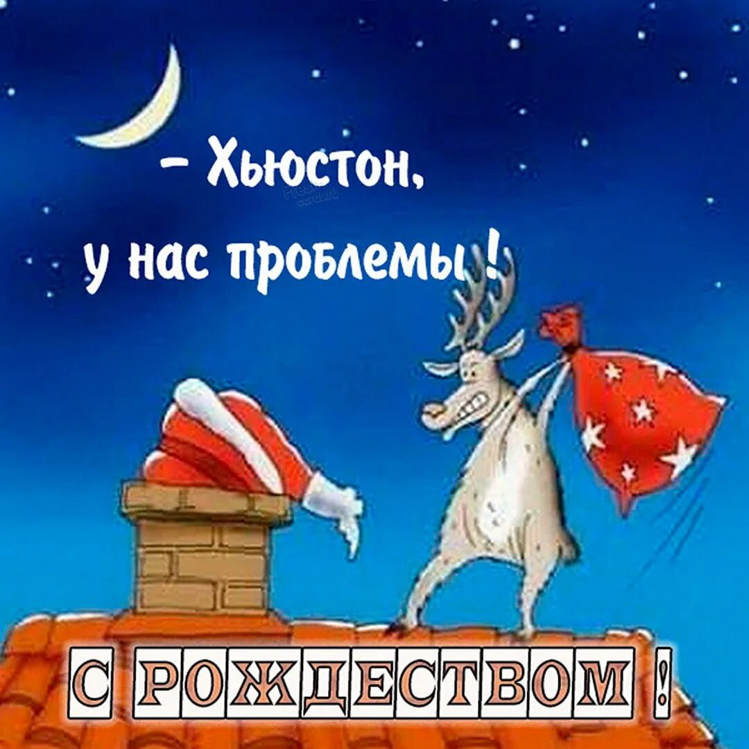 С рождеством картинки прикольные. Хочу лежать. С рождеством блять. Прикольные открытки с новым годом. Утро доброе блять вечер добрый.