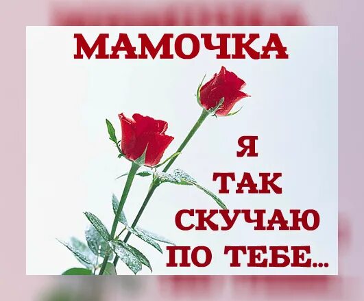 Мама я скучаю мама. Мама надпись на окне. Буду вечно молодым мама по тебе скучаю. Стихи про маму которой нет. Я скучаю по маме.