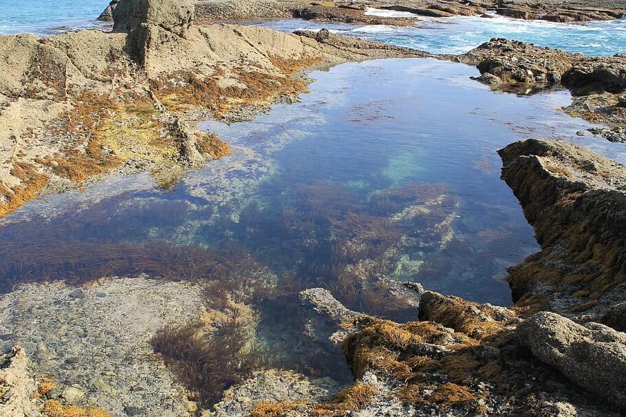 Природа. Tide Pool. Tidal Pool. Залив Мартабан фото. Берега залитые водой