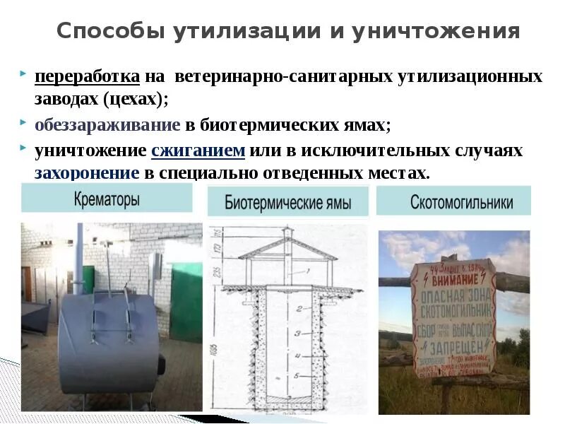 Санитарные правила биологические отходы. Способы утилизации трупов животных. Биологический метод утилизации отходов. Утилизация биологических отходов в яму. Биологический способ переработки отходов.