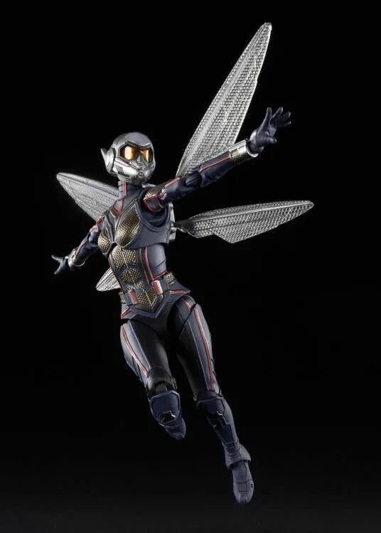 The wasp 2025