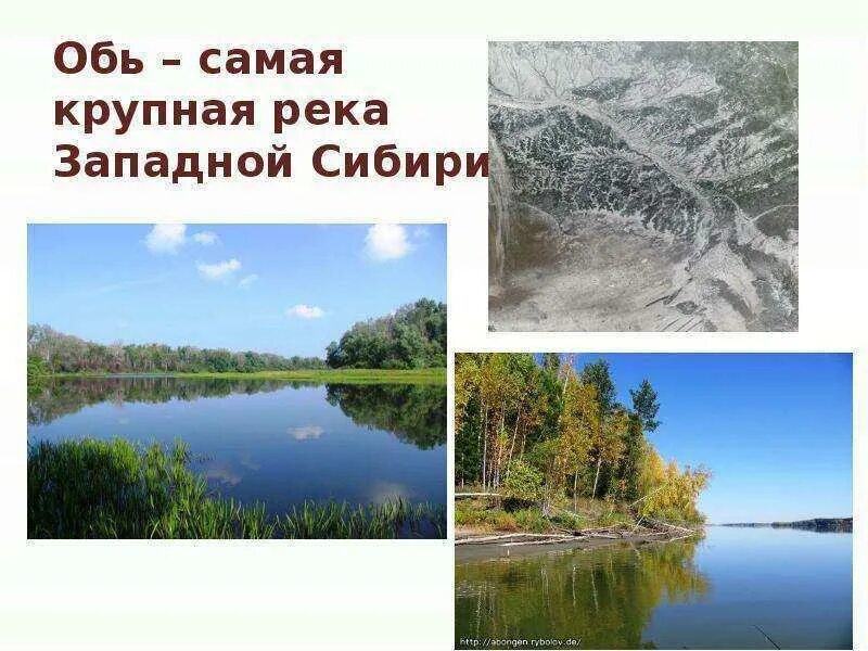 Озера Сибири. Реки Западной Сибири. Реки и озера Западной Сибири. Озёра Сибири список. Какие реки находятся в сибири
