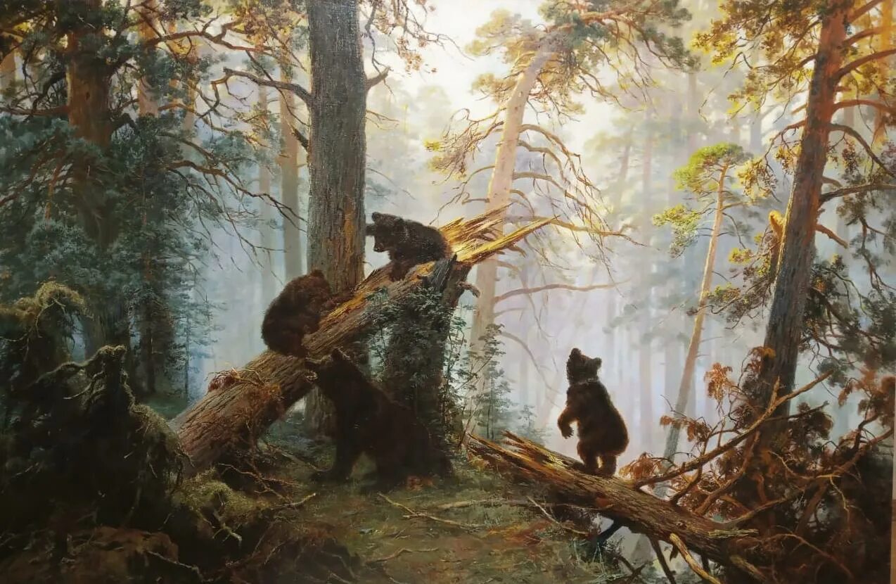 Шишкин утро в сосновом лесу картина