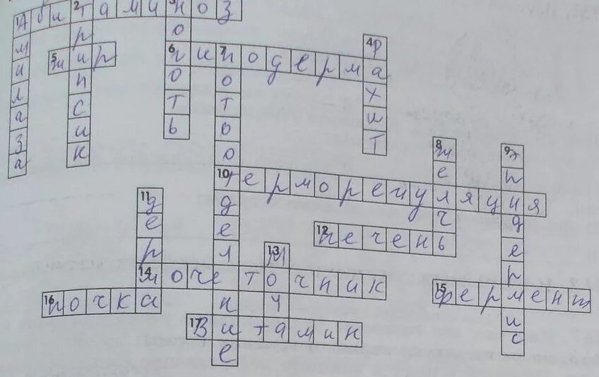 Кроссворд на тему математика. Кроссворд на тему кровь. О, париж кроссворд 80*80. Готовый кроссворд. Кроссворд на тему человек человек.