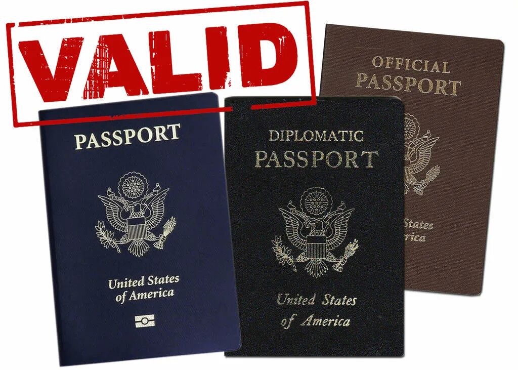 Valid pass. Valid passport. загранпаспорт valid. америка officials pasport. official passport.