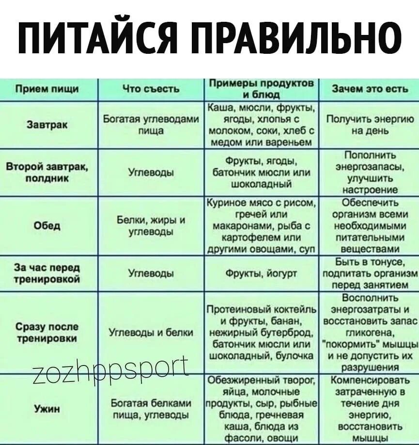 Что надо есть в течении дня. Шпаргалки для похудения. Правильное питание шпаргалка. ПП шпаргалки. Шпаргалка по ПП.