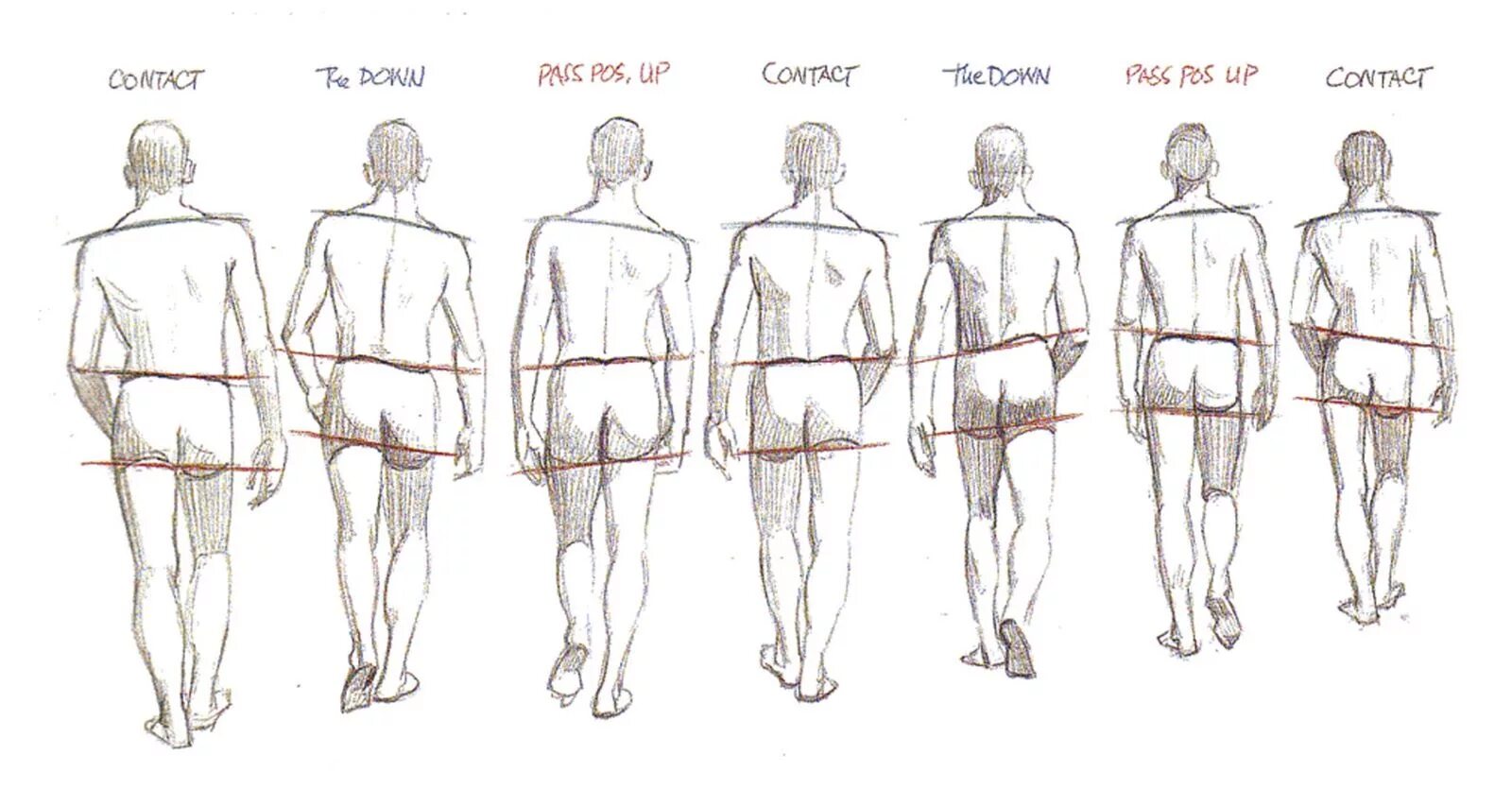 Back ref