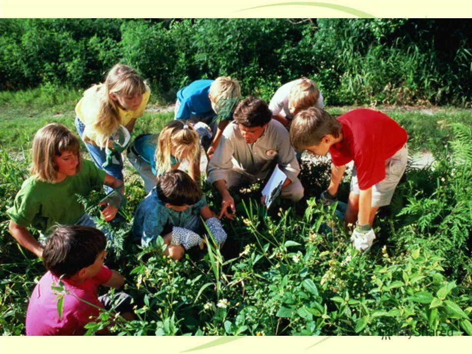 Труд и ребенок программа. Трудовая деятельность детей. Экологическое воспитание. Коллективный труд в детском саду. Экологическое и Трудовое воспитание.