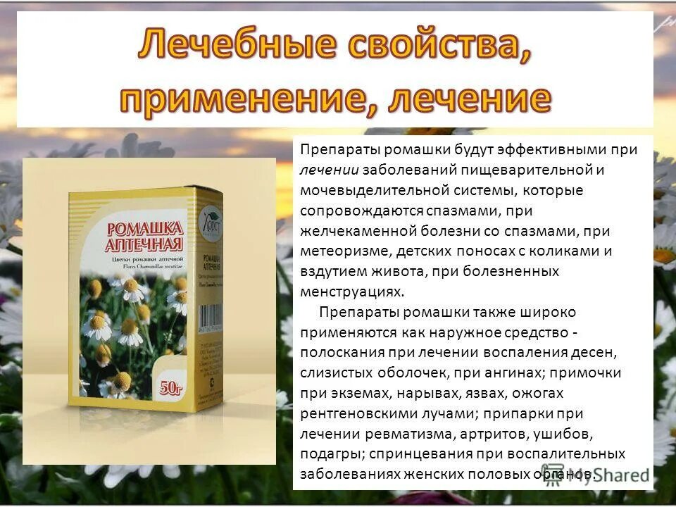 можно ли ромашку при поносе. ромашка при расстройстве желудка. ромашка в пакетиках. как пить ромашку для кишечника. ромашка травы пить.