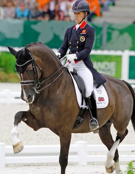 Dressage Valegro. Кличка коня махотина главного вронского на скачках