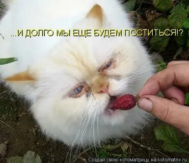 Ну ладно попробуем