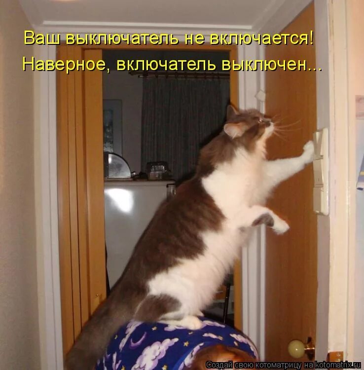 нет ничего важнее человеческой жизни. долго не выходил из дома. на улице. пещера мем. меня долго не было.