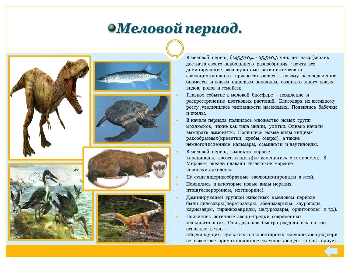 Меловой период климат. Эволюция животных в меловом периоде. Ароморфозы мелового периода. Меловой период мезозойской эры таблица. Меловой период возраст.