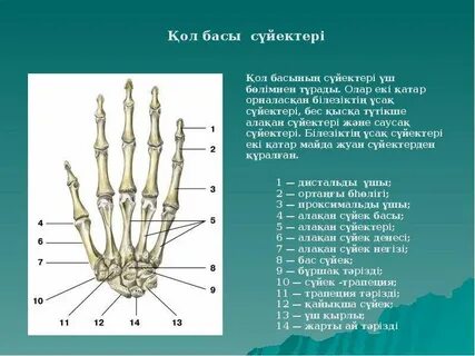 Сексуалды контакт аватарлары