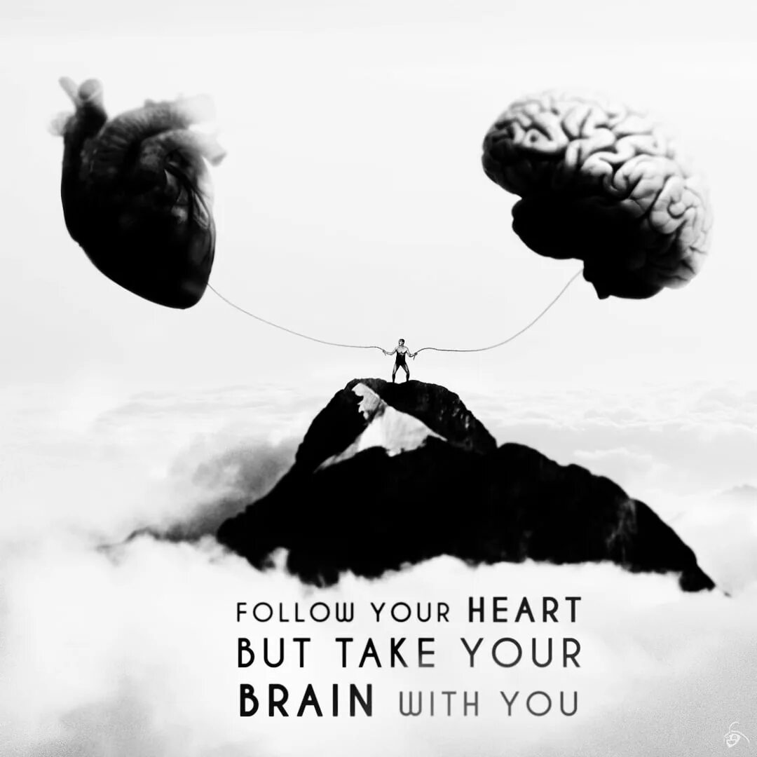 Brain follow. Follow your heart but take your brain with you. мозг и сердце. разум vs мозг. мозг и сердце в небе.