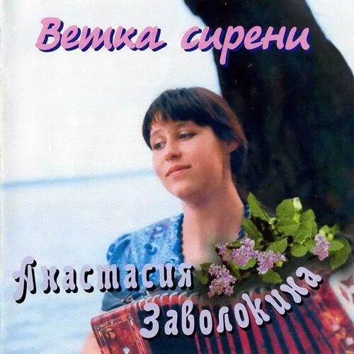 Ветка сирени заволокина. Одинокая ветка сирени Заволокина.