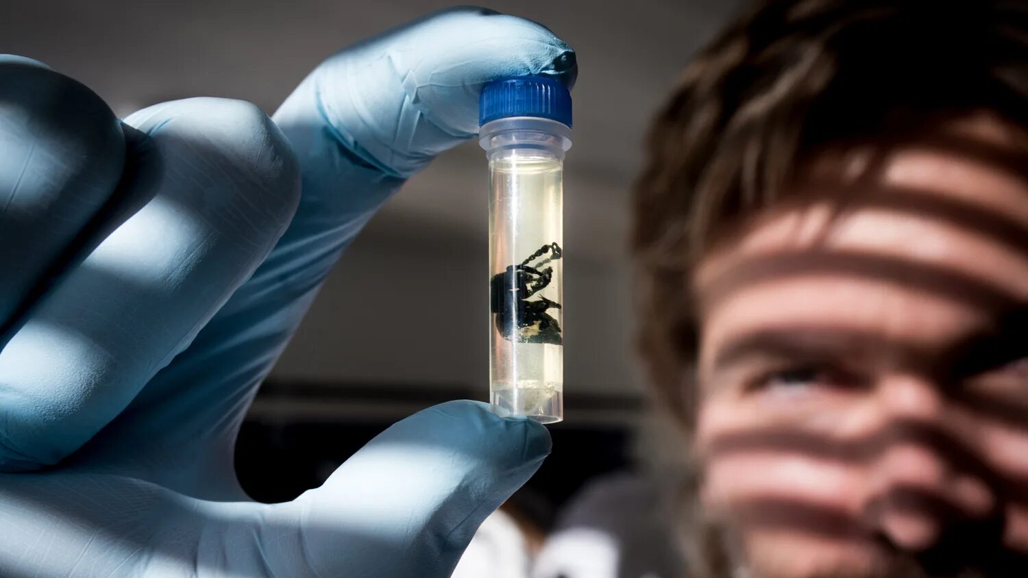 Генетически модифицированные люди