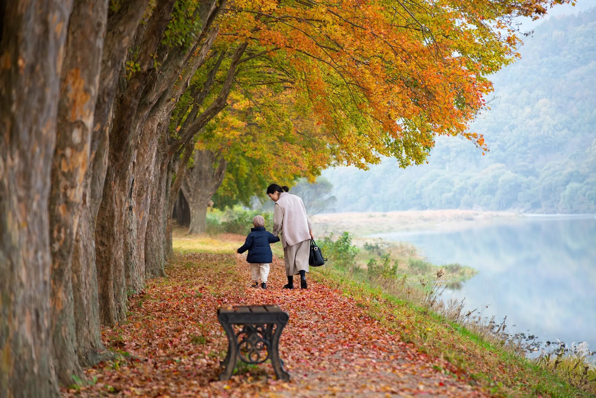 In autumn it is often. Осенний парк. Прогулка в осеннем парке. Парк осенью. Осень в парке.