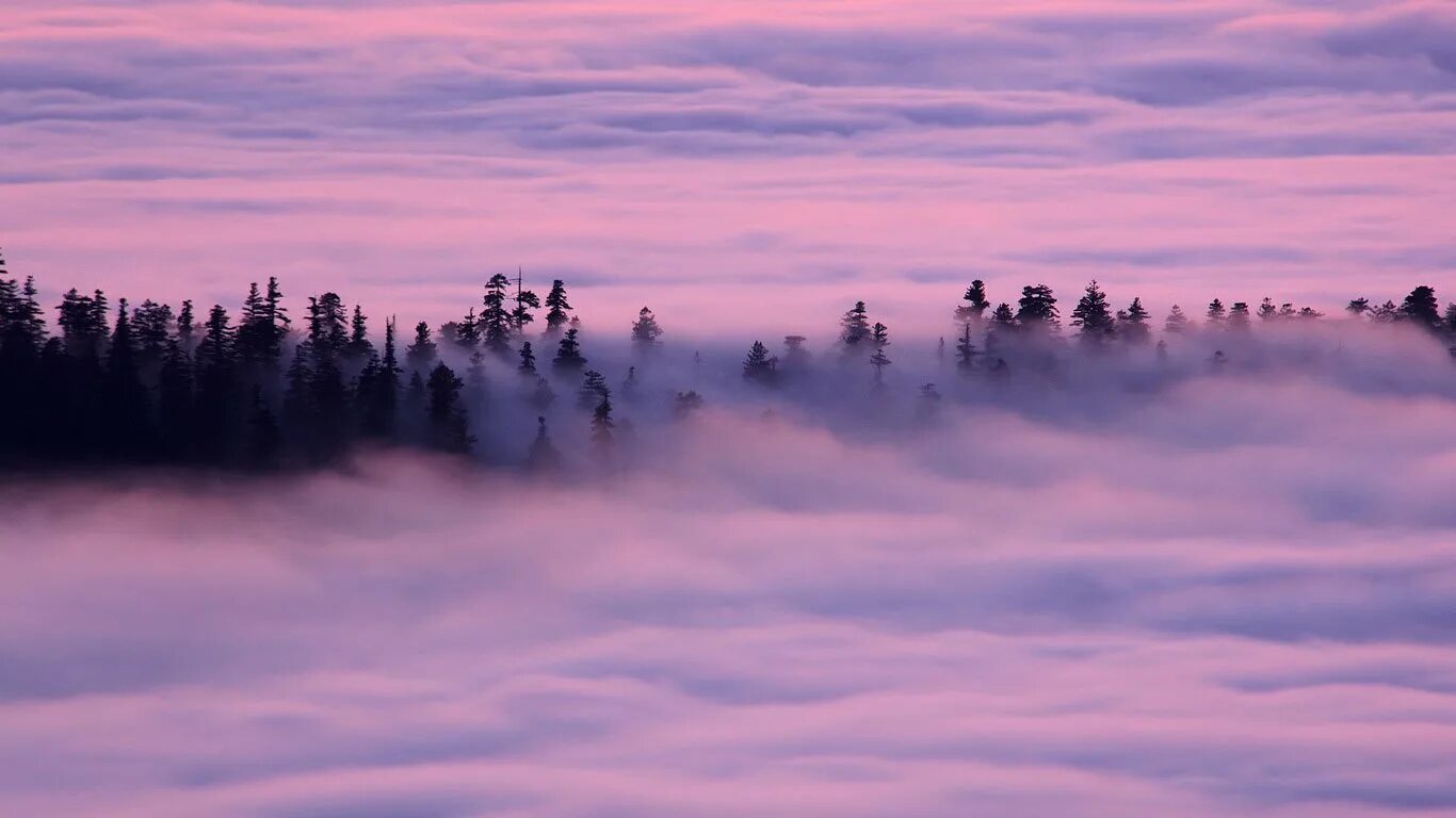 Туман. Обои туман. Пейзаж туман. Горы в фиолетовом тумане. Отец федора выбравшийся из фиолетового тумана