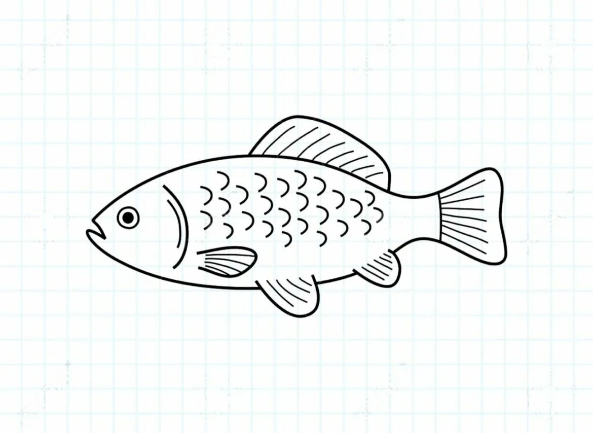Была рыбка простая. Рыбки для срисовки легкие. Рисунок рыбы для срисовки. Рисунки для срисовки лёгкие рыбы. Красивые легкие рисунки рыбы.
