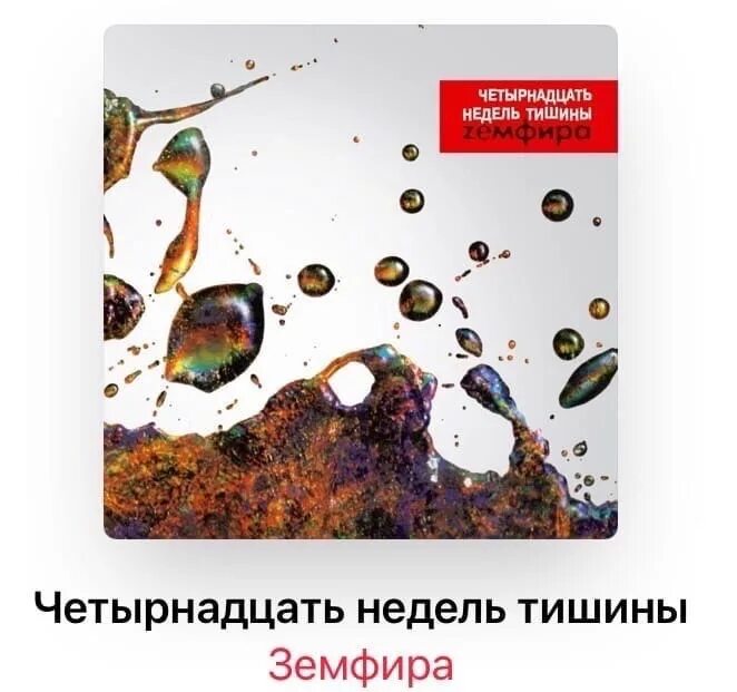 2 недели молчания. Четырнадцать недель тишины фотоальбом. Неделя тишины доклад. 2 недели молчания. Обет молчания.