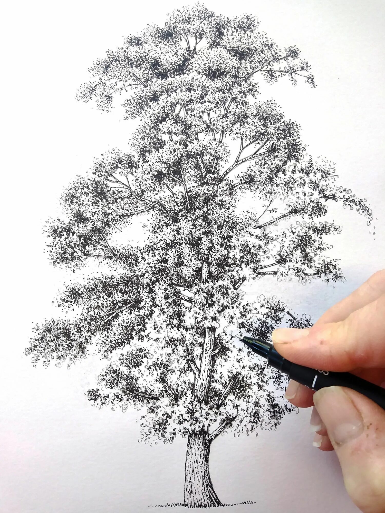 Tree pen