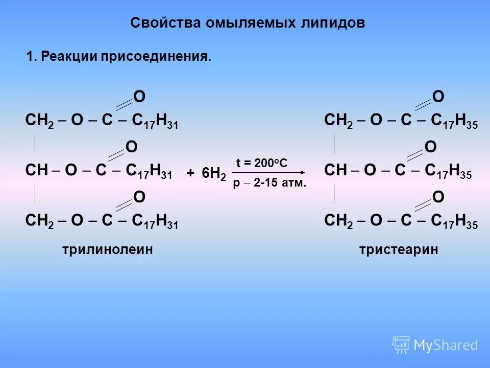 Общая формула липидов. Липиды реакции. Химическая реакция омыления. Ферментативный гидролиз липидов окисление. Реакция образования сложных липидов.