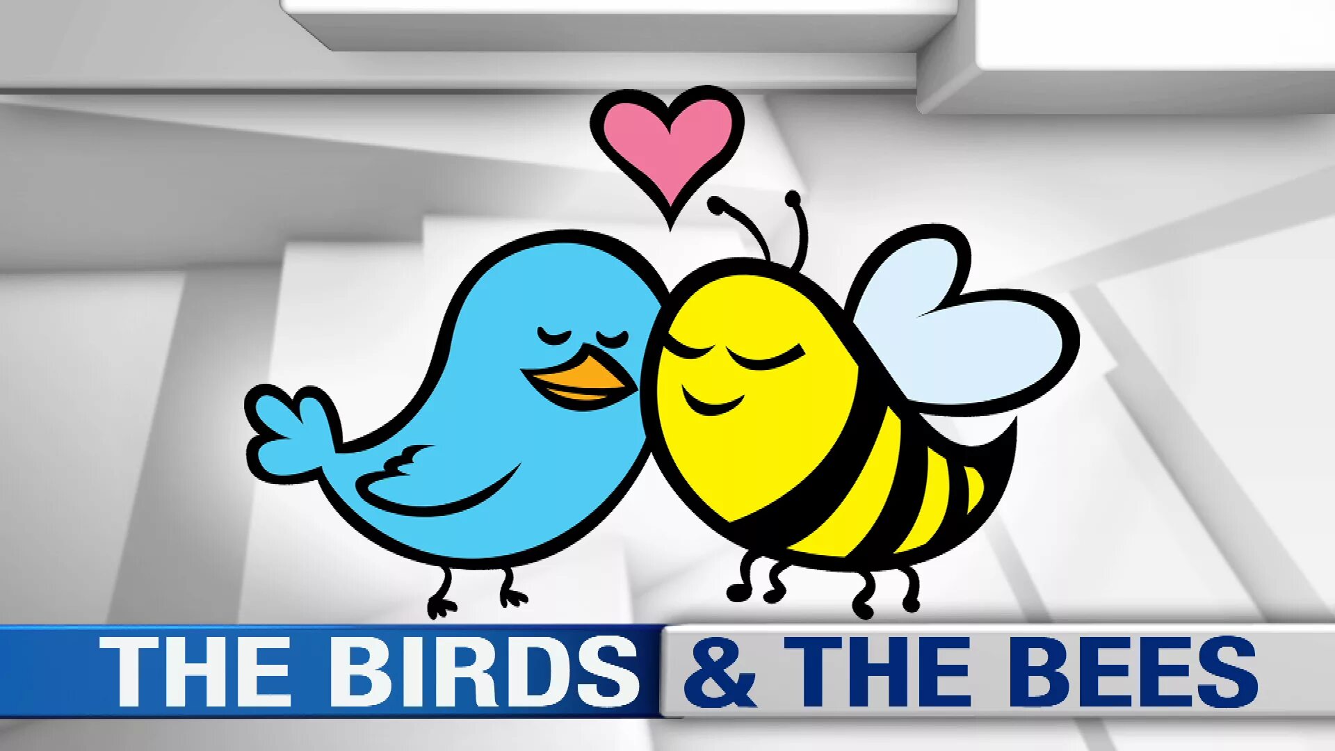 Birds and bees. The Bird and the Bee. Bees and Birds idiom. Birds and Bees бассейн.