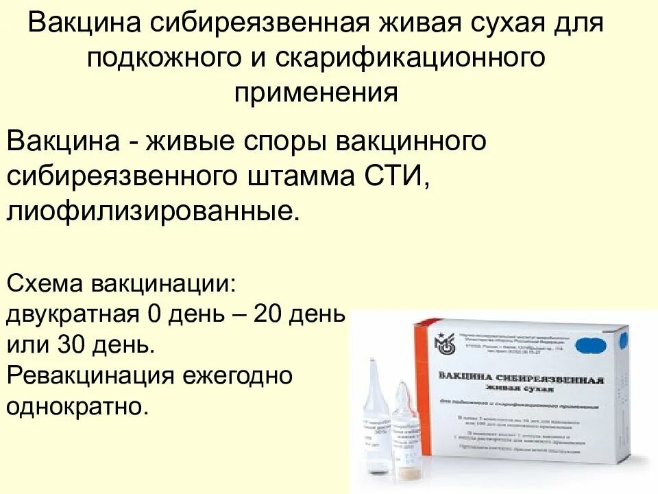 Вакцина сибиреязвенная Живая. Схема вакцинации сибирской язвы. Вакцина от сибирской язвы. Вакцина сибиреязвенная Живая сухая.