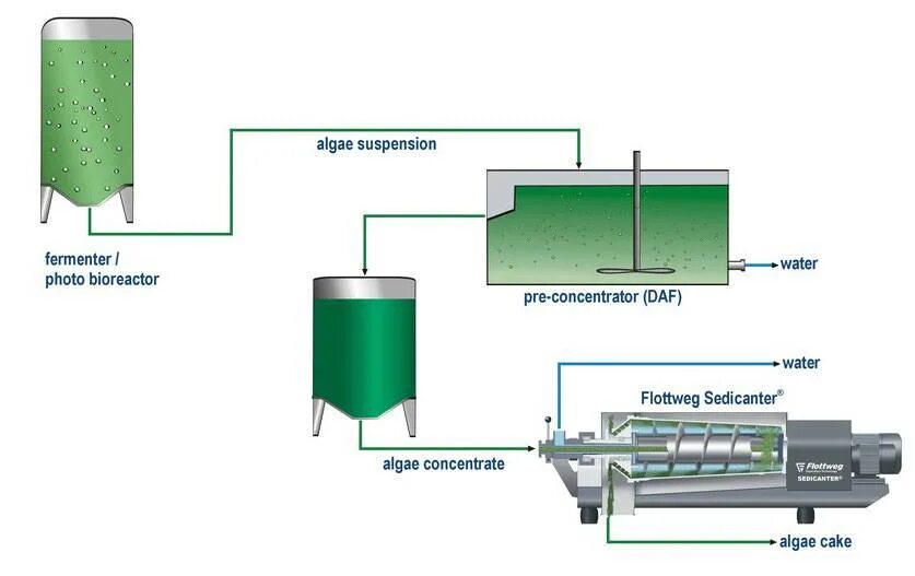 Производство водорослей. Схема производства биодизеля. Схема технологического производства биодизеля из водорослей. Биодизель из водорослей схема производства. Фотобиореактор хлорелла.