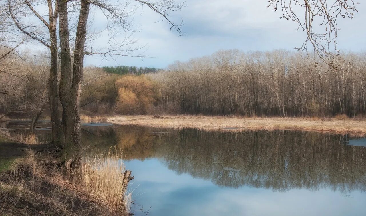 Уровень воды в реке кама. Река Усень Туймазы. Река Усень. Река Уфа. Лед на реке тронулся.