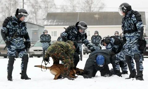 Омон зубр