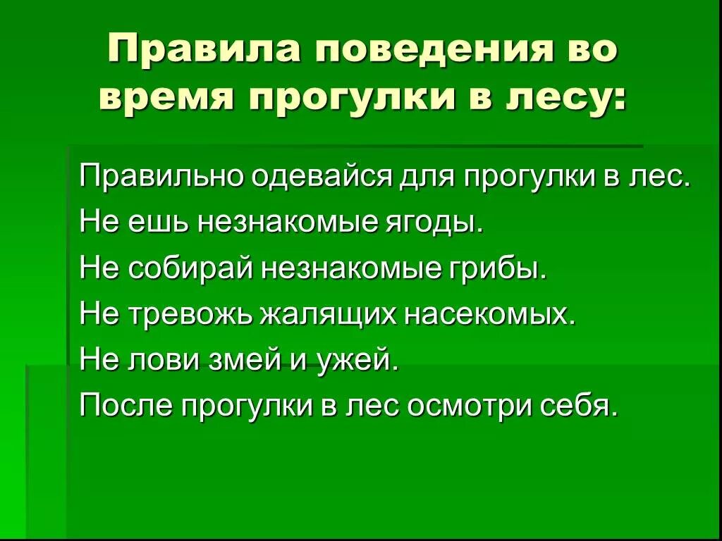 Проект Лесные опасности. Правила поведения в Дему. Лесные опасности 2 класс окружающий мир. Проект Лесные опасности 2 класс.