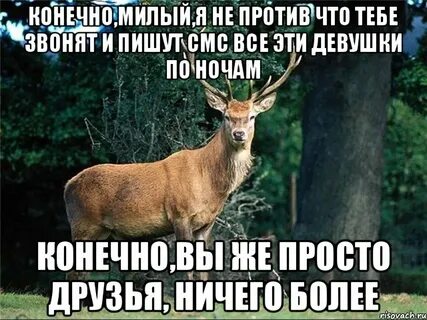 Он просто друг