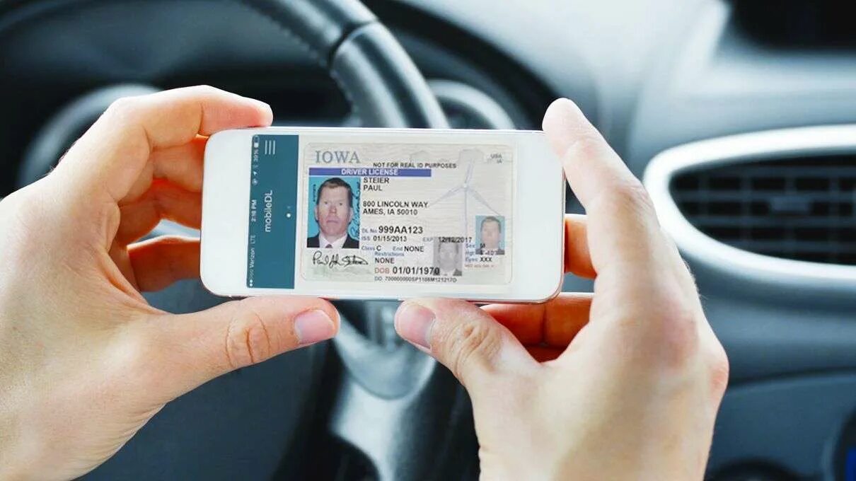 Add drive. Driving License. Driver License car. App Drivers License. Селфи с водительским удостоверением USA.