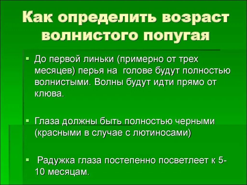 Как понять сколько попугаю лет