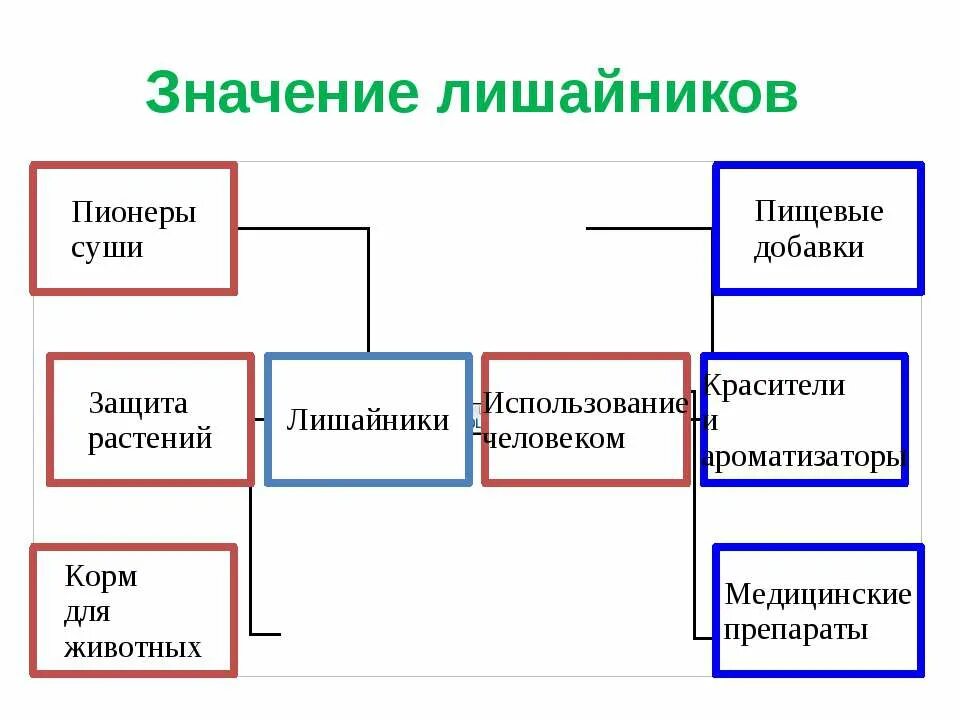 Значение лишайников. Схема значение лишайников. Составить схему значение лишайников. Значение лишайников в жизни человека.