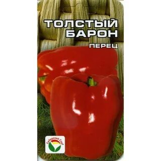 Перец толстой