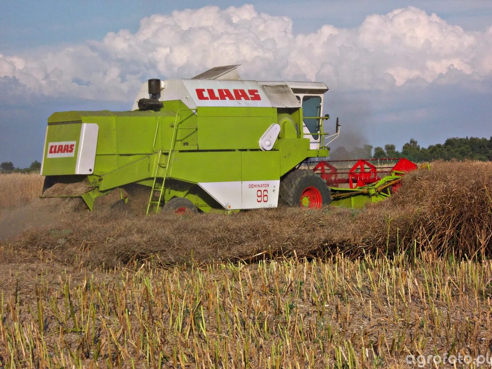 Доминатор отзывы. CLAAS Dominator 96. Доминатор комбайн 7180. Комбайн Клаас для уборки зерновых. Комбайн Клаас Доминатор.