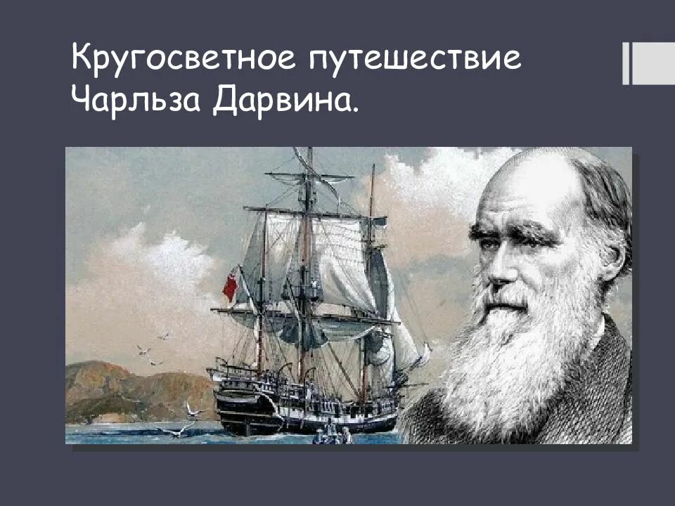 Кругосветное путешествие Чарльза Дарвина. Маршрут кругосветного путешествия Чарльза Дарвина. Путешествие Чарльза Дарвина на корабле Бигль маршрут. Кругосветное путешествие Чарльза Дарвина карта. Ч дарвин кругосветное путешествие