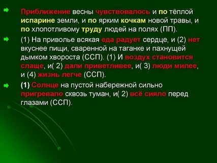 Слово везде