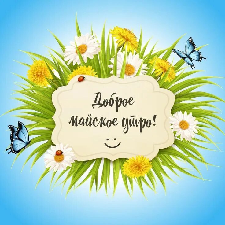 Доброе утро мая добрых мыслей. Открытки с добрым утром с одуванчиками. доброе майское утро ромашки. доброе утро мая. с добрым майским.