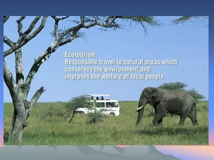 What is your attitude to ecotourism
