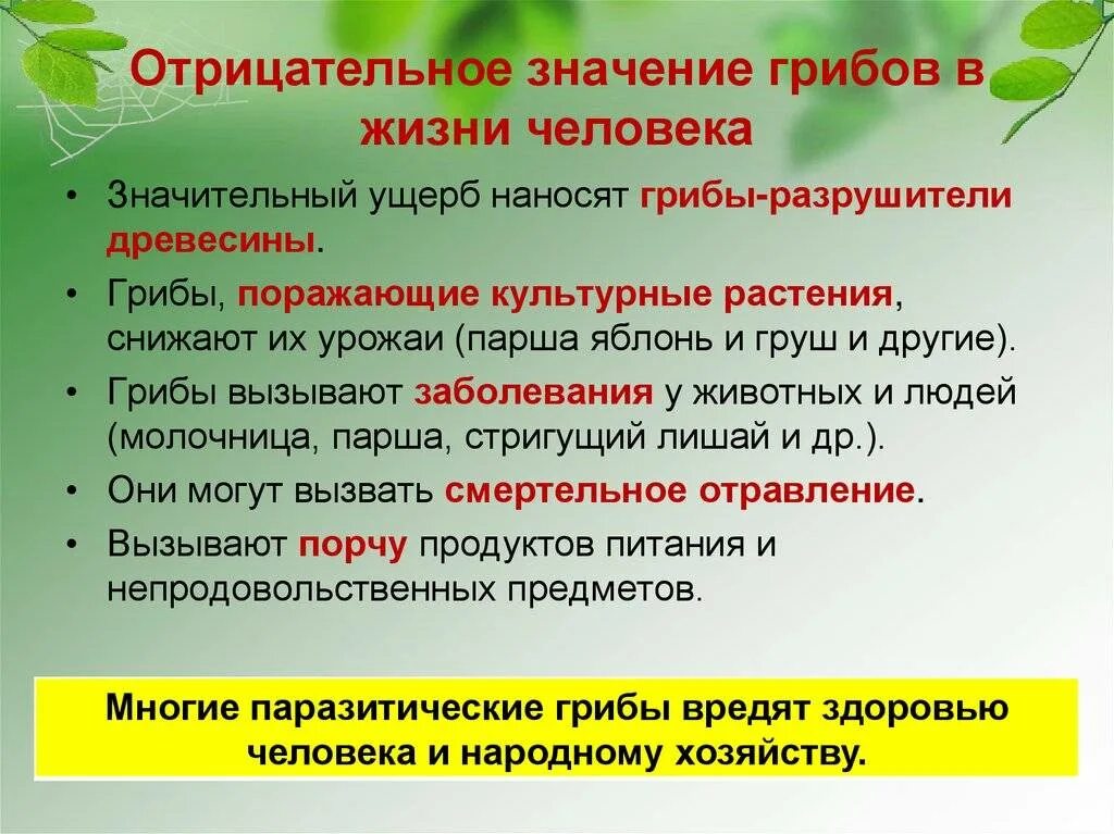 Класс по значимости. Таблица по биологии 5 класс значение грибов в природе и жизни человека. Значение грибов в природе. Значениегриюов в природе. Грибы значение в природе.